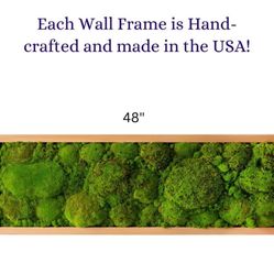 Moss Wall Frame Decor 