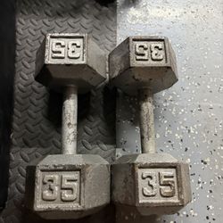 35lb Hex Dumbbell Weights