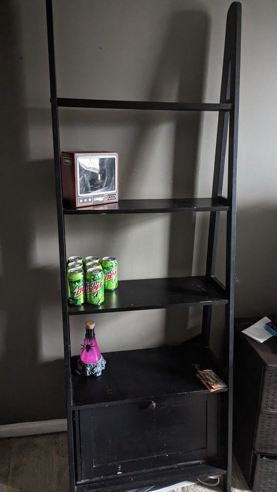 Shelf ladder Bookcase