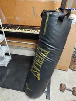 Everlast punching bag
