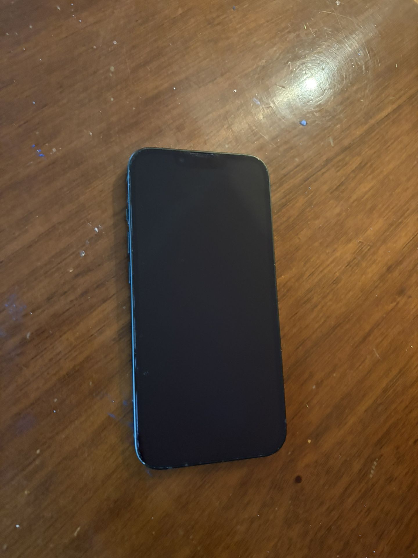 iPhone 13