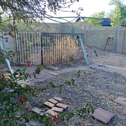 Free On Power/Brown: (You Dig Out) Pool Fence Panels and Shade Structure