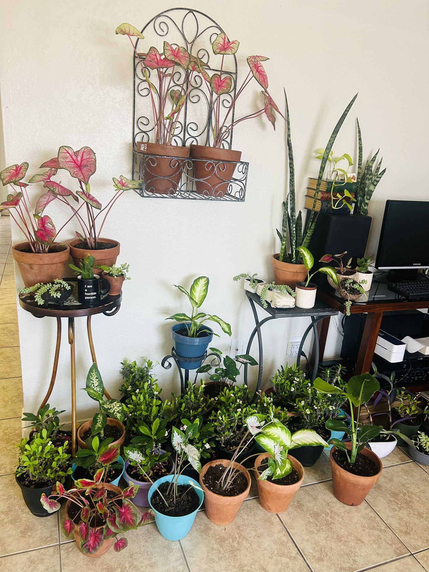 Plans For Sale 20 Each