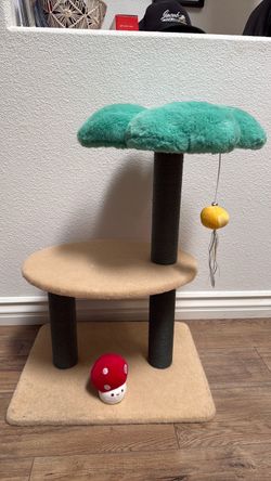 Cat scratcher