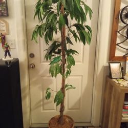Decorative Tree