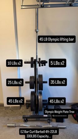 Iron Olympic Weight Plates / Olympic Lifting Bar / Plate Tree Weight Rack