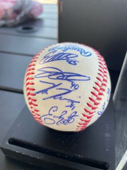 Tampa Bay rays signed team ball