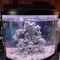 20 Gallon Bow Front Aquarium With Fish And Accessories 