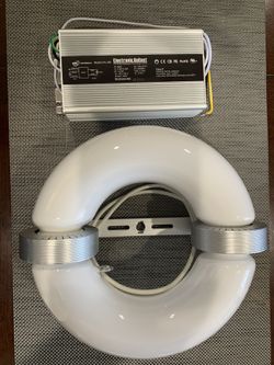 Induction LED 80 Watts
