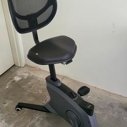 Office Exercise Chair