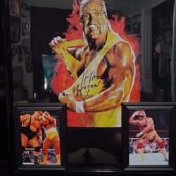 HULK HOGAN WERESTING HALL OF FAMER, WITH WWF, BRANDED, FRAMED T-SHIRT.