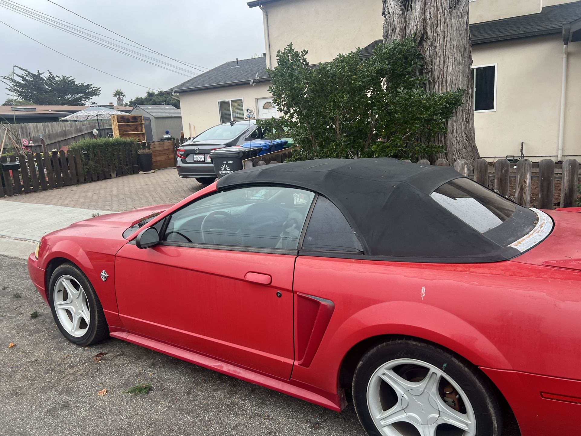 1999 Ford Mustang