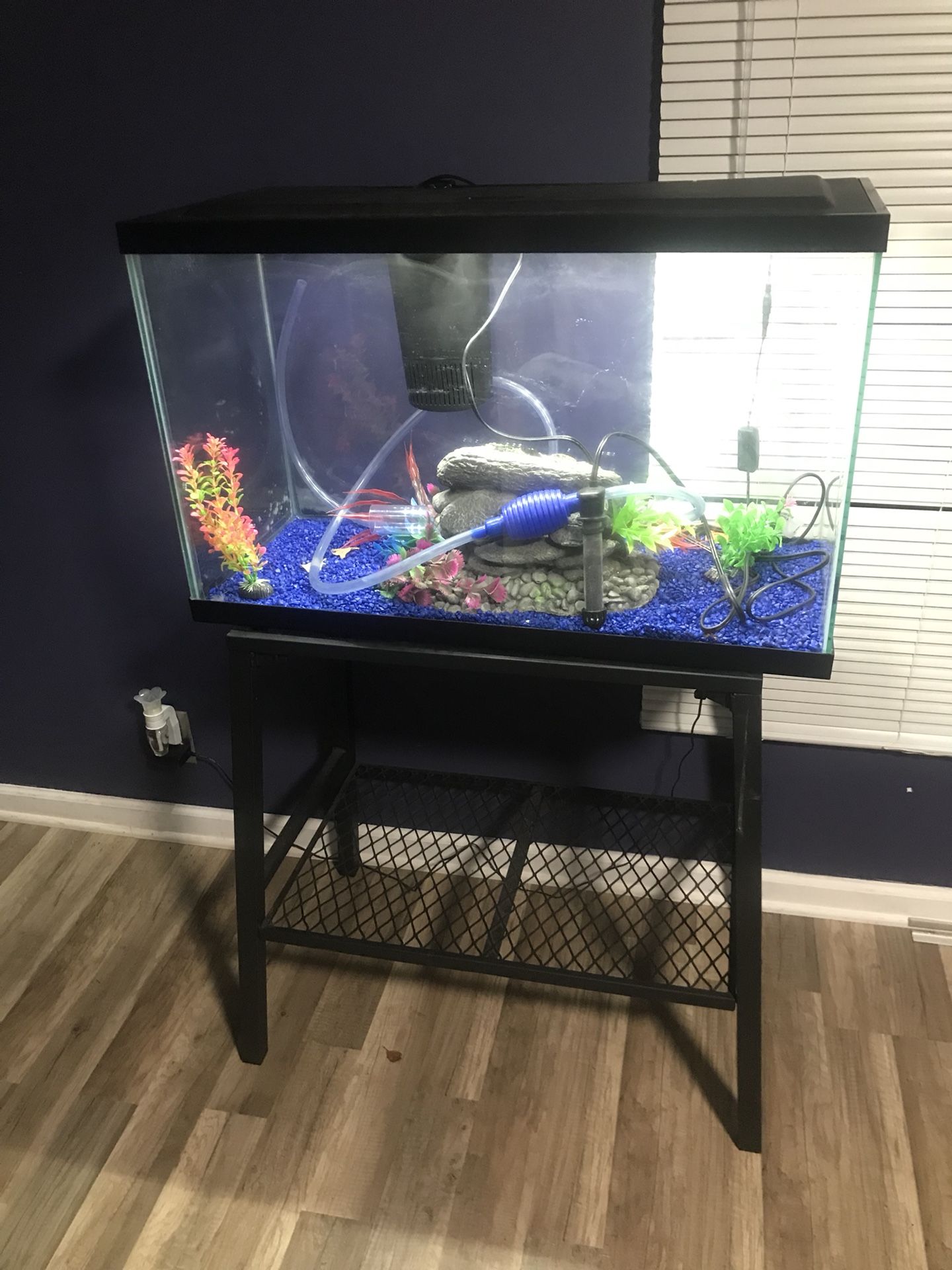 50 Gallon Fish Aquarium for Sale in Alexandria, VA OfferUp