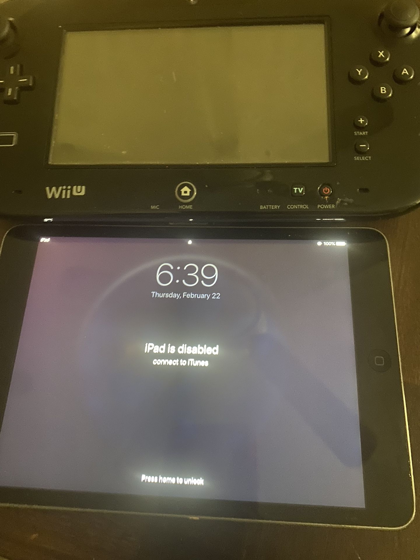 iPad Mini