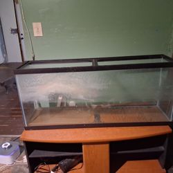 2 55 Gallon Fish Tanks 