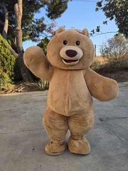 Adult Teddy Bear Mascot Costume