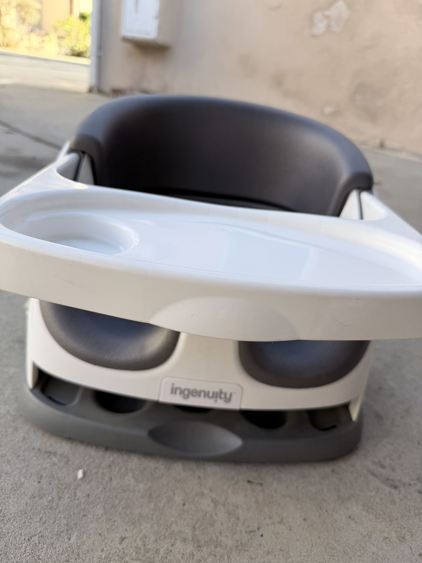 Ingenuity Booster Seat