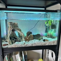 10 gallon Fish Tank With Accessories 