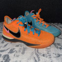 Nike Zoom Lebron Nxxt Gen I Promise Basketball UK 11.5 EUR 45.5 Multi DR8784-900