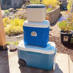(3) Coolers For Food And Beverage