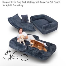 Dog/human Bed