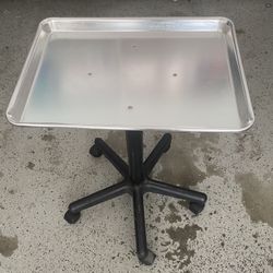 Rolling Salon Tray