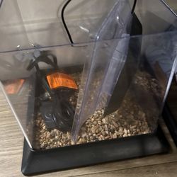 1 .2 gallon fish tank betta tank with light and water heater