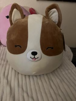 Regina the Corgi Squishmallow