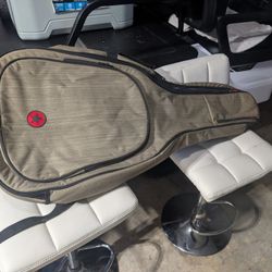 Guitar Case Road Runner 