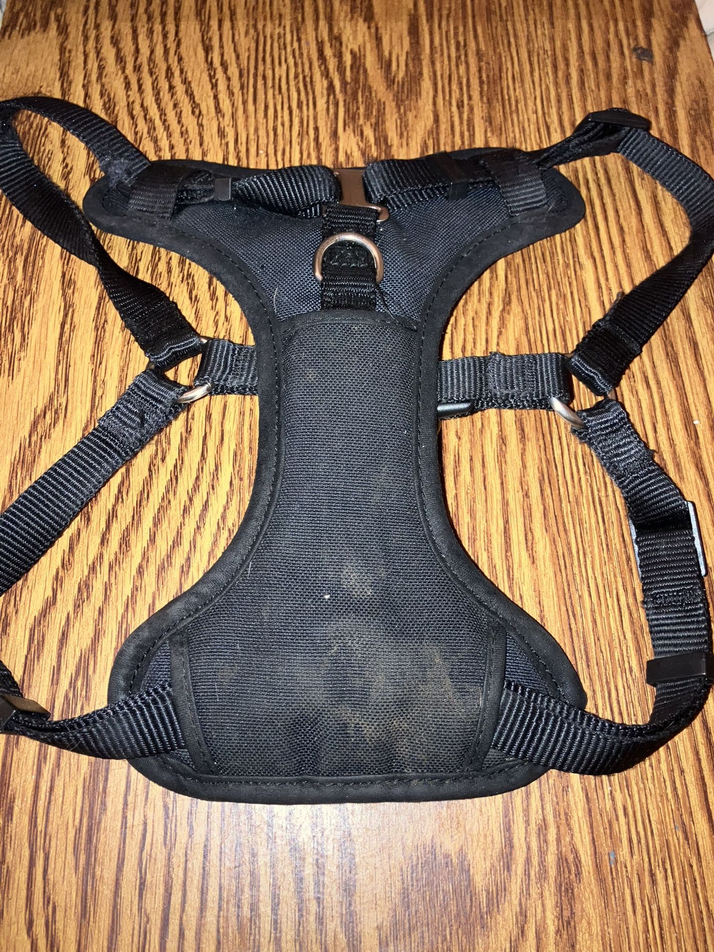 Dog Harness