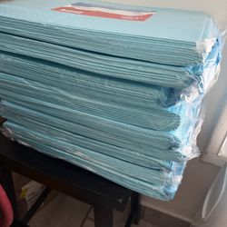 $12 Each- Disposable Underpad Heavy Absorbency Super Absorbent Material 30 X 36 10 Pads/Almohadilla Desechable