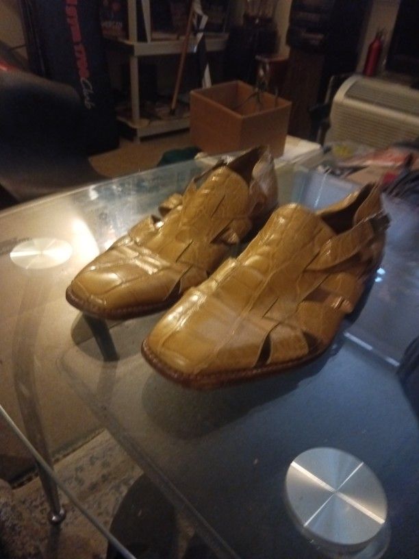 Mauri Gators