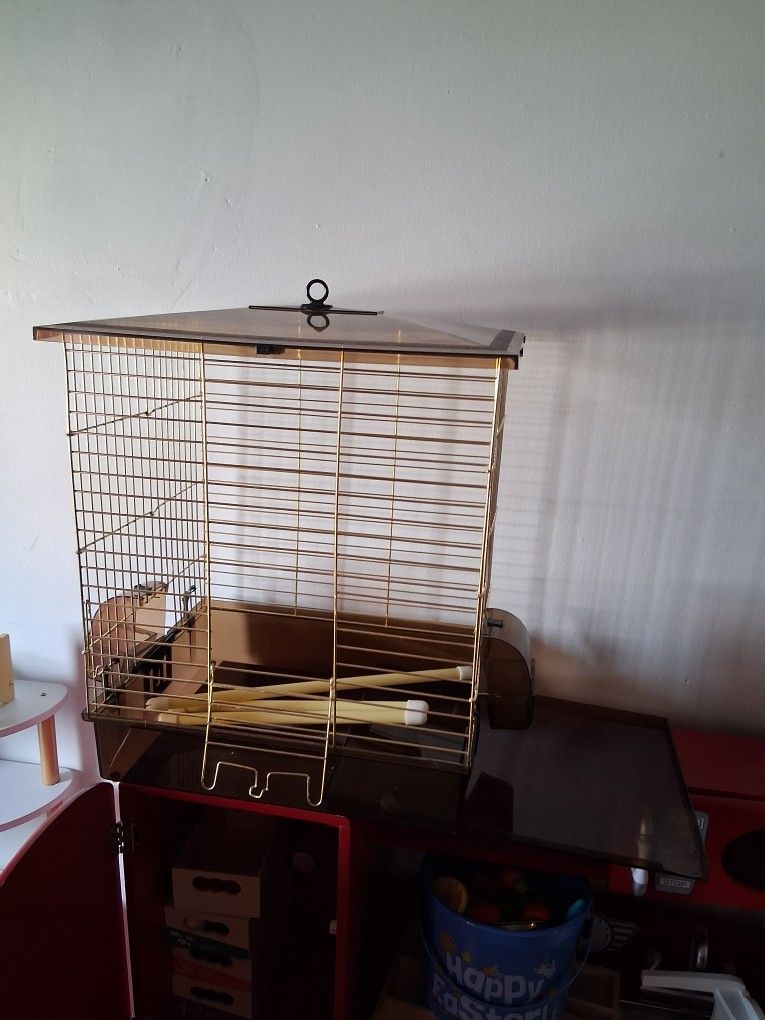 Bird Cage