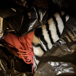 Bag of items 