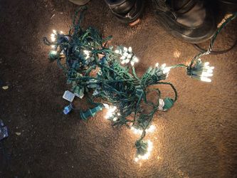 There lots of christmas lights for 20 dollars or 50 dollars