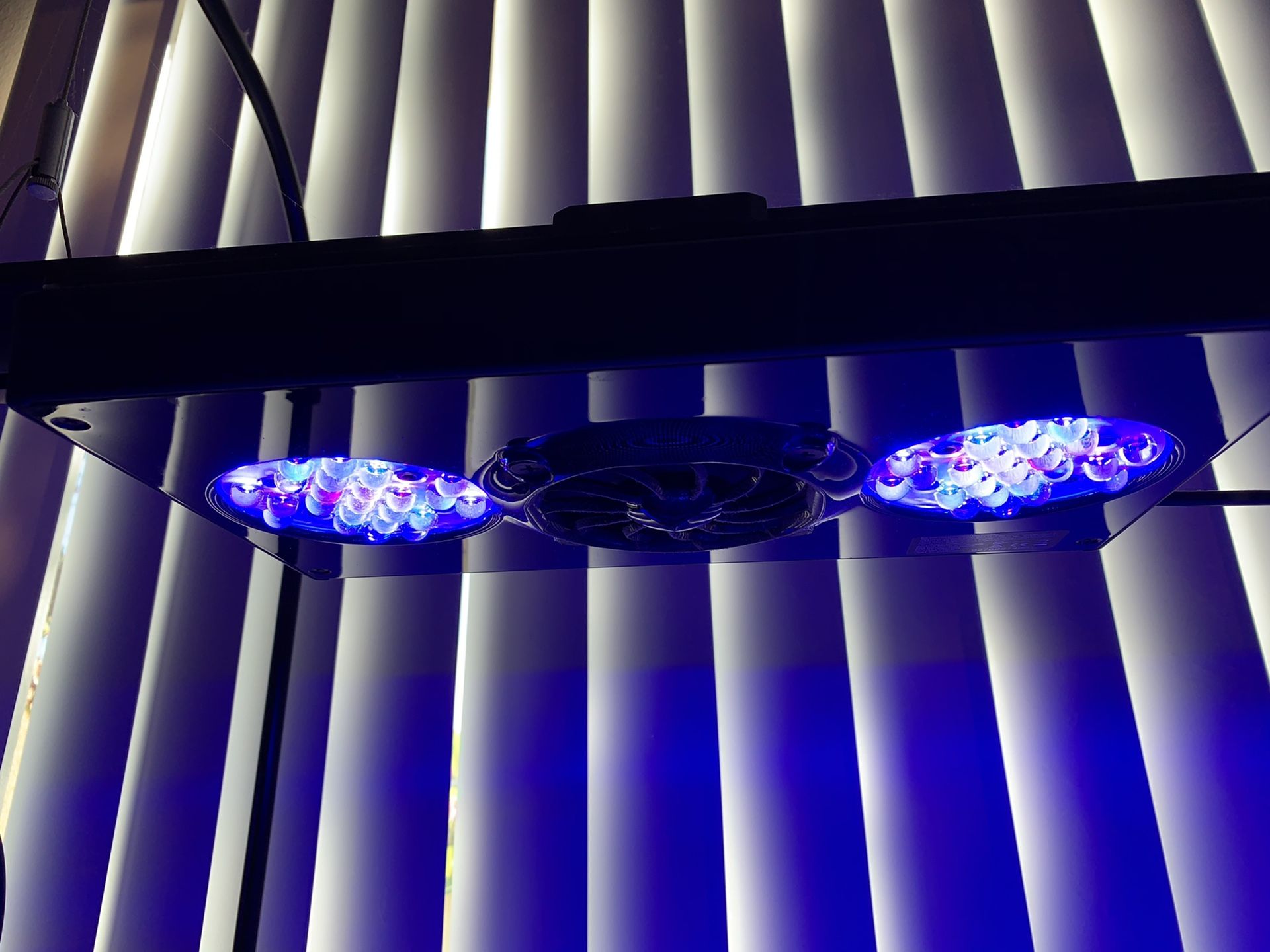 Reef lights saltwater coral fish tank aquarium