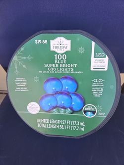 Holiday Time 100 Blue LED G30 String Lights