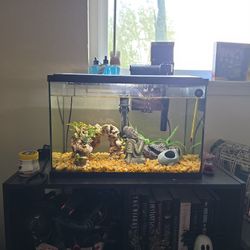 Fish Tank