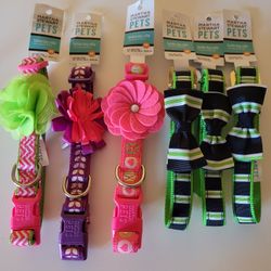 Martha Stewart Pets Medium Dog Collars 