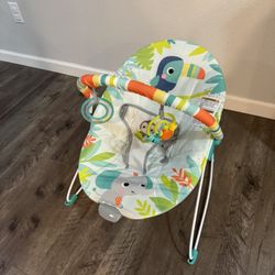Baby Bouncer