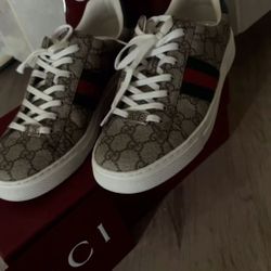 Gucci Shoes 