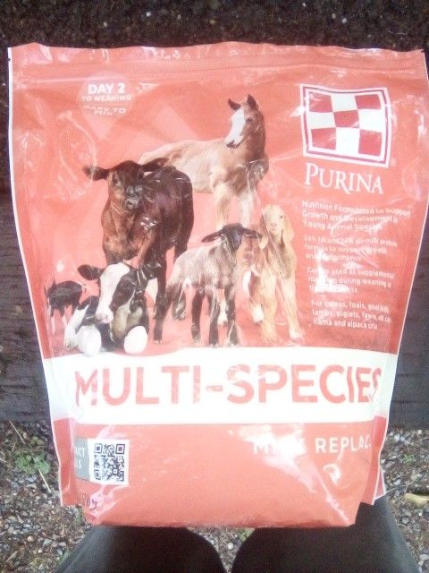 Multi-Species Milk Replacer By Purina