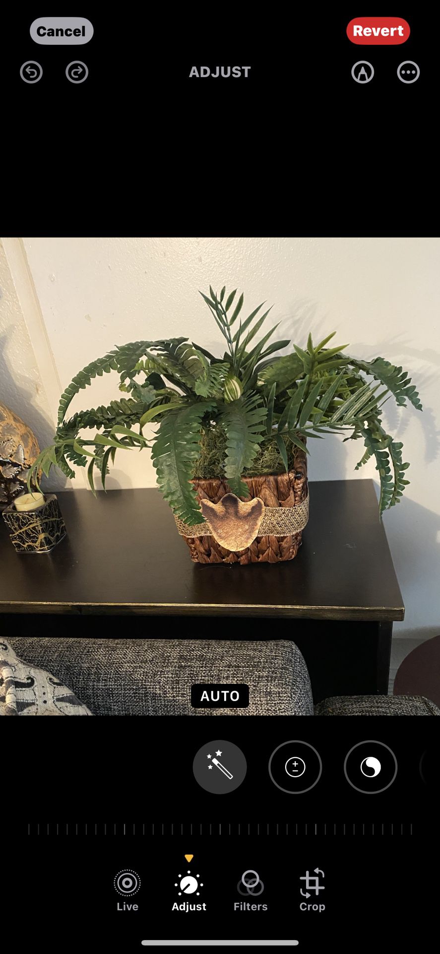 Fake Plant I Have 2 $5 each