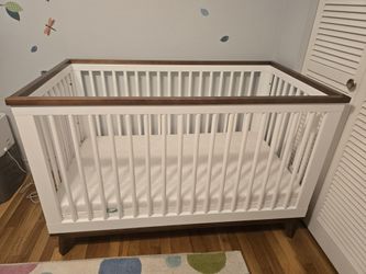 Bayletto Scoot 3 In 1 Crib