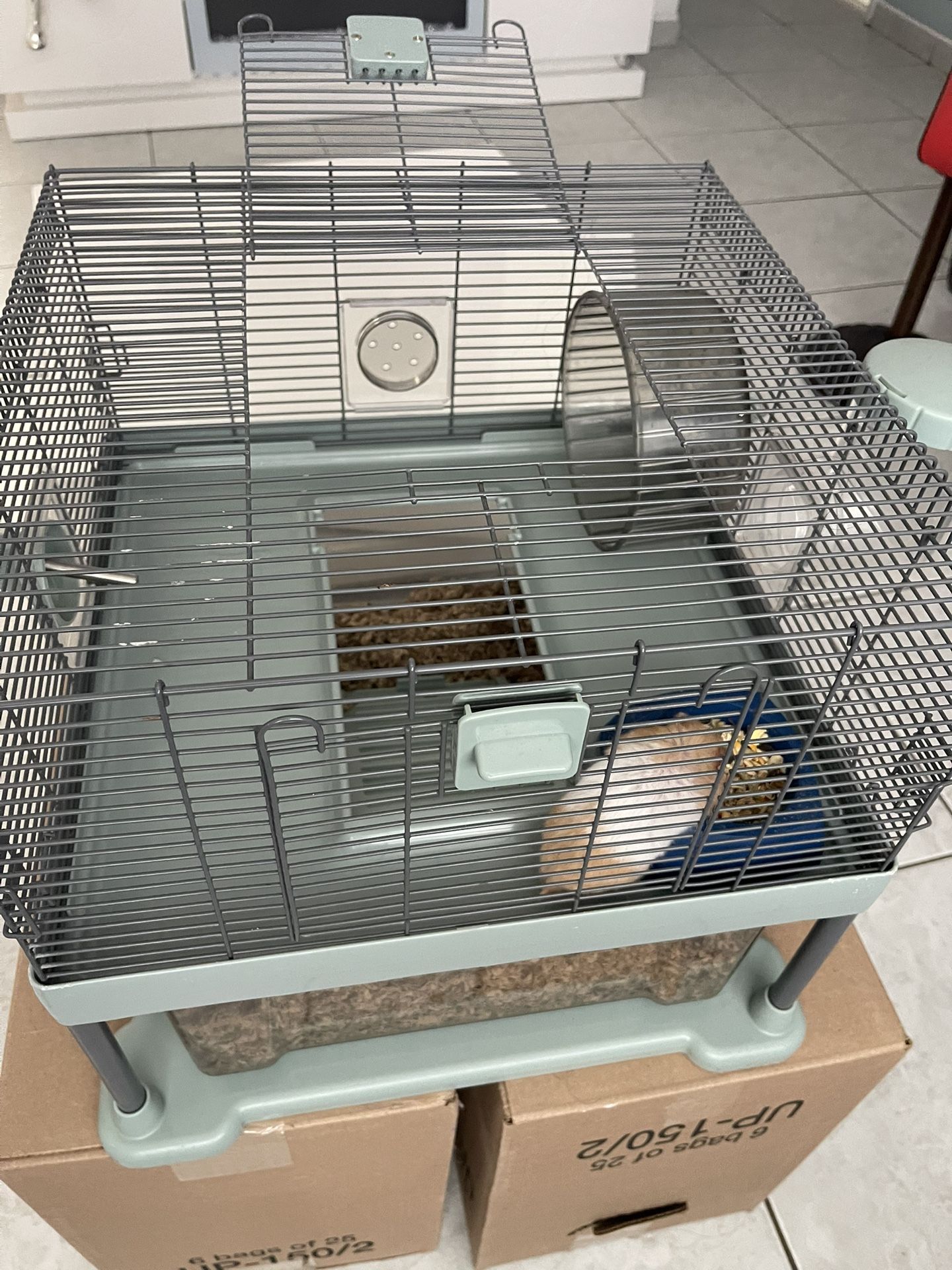 Por Favor Quien Este Interesado En Un Hámster 🐹 Su Nombre Es Richar Lo Estamos Regalando Gracias.
