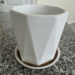 Plant Pot
