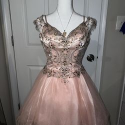 Petite Princess Blush Pink Dress 
