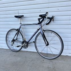 Trek Road Bike