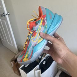 Nike Kobe 8 Venice Beach