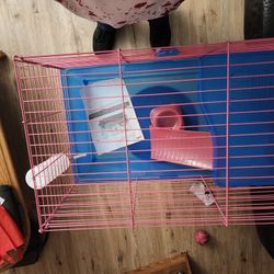 Rodents Kages 